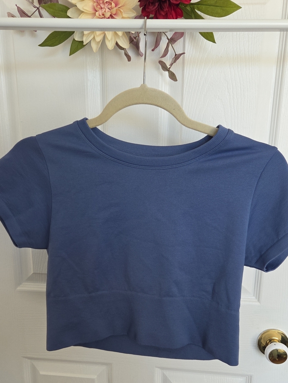 aerie Blue Short Sleeve Cropped Tee